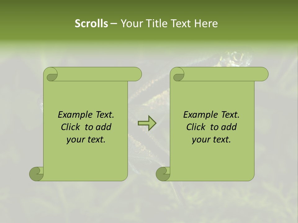 Aquarium Fish PowerPoint Template