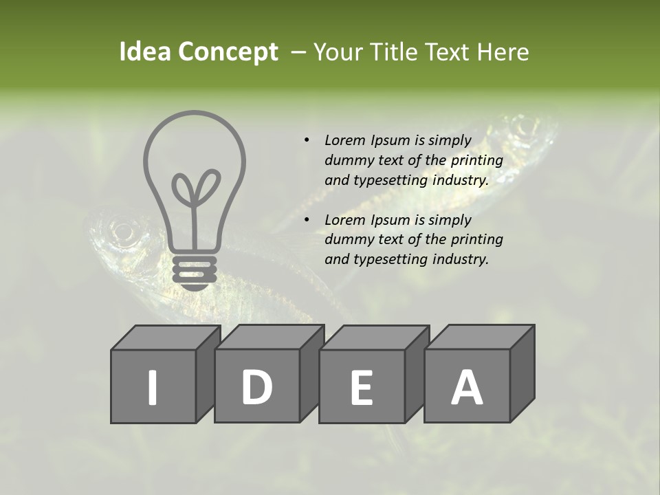 Aquarium Fish PowerPoint Template