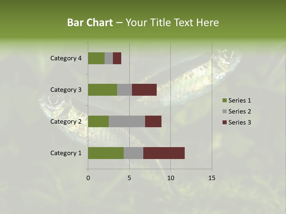 Aquarium Fish PowerPoint Template