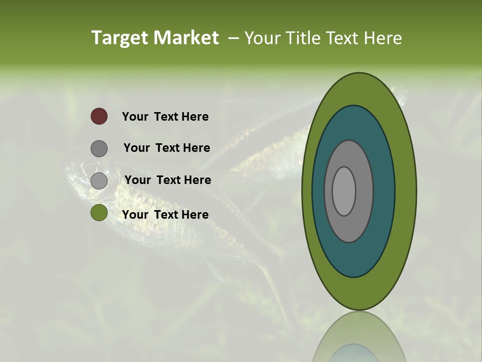 Aquarium Fish PowerPoint Template