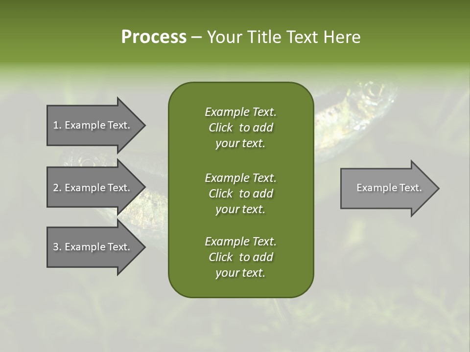 Aquarium Fish PowerPoint Template