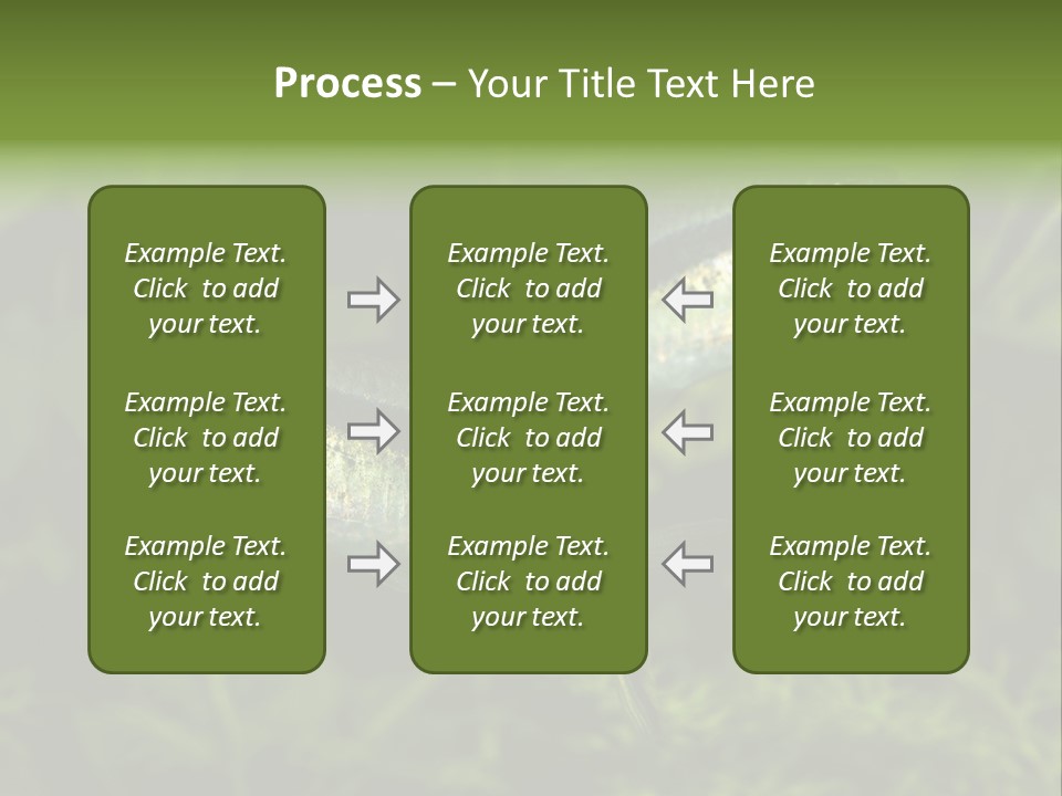 Aquarium Fish PowerPoint Template
