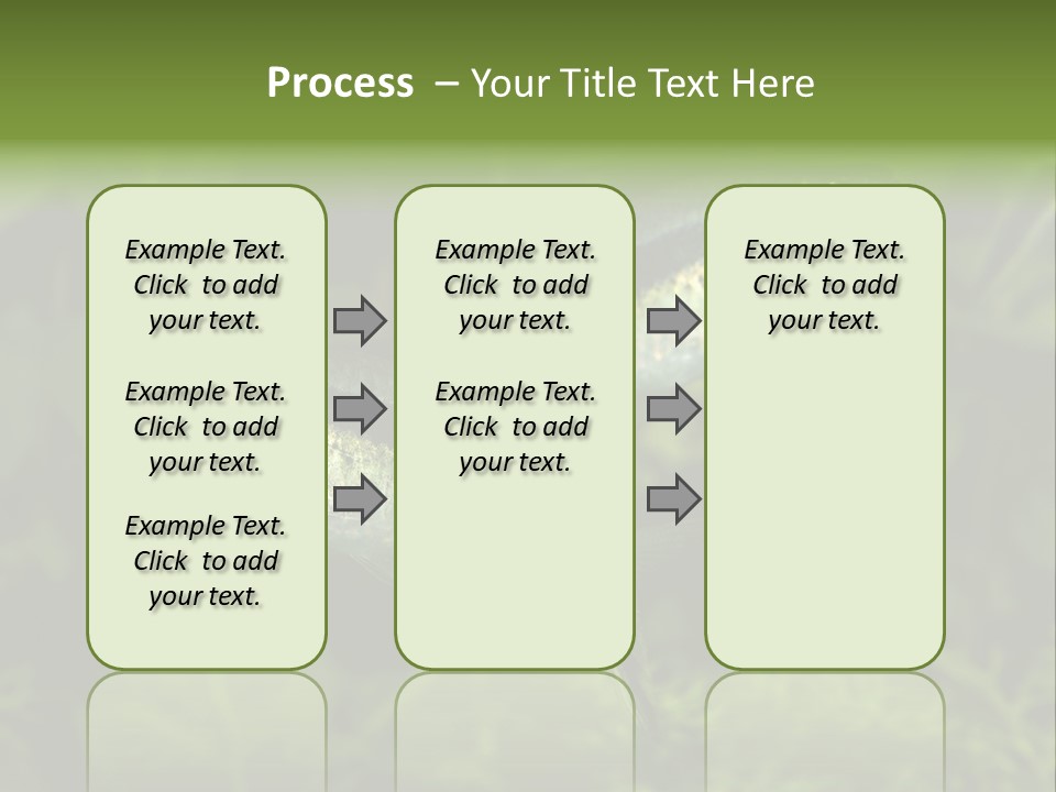 Aquarium Fish PowerPoint Template