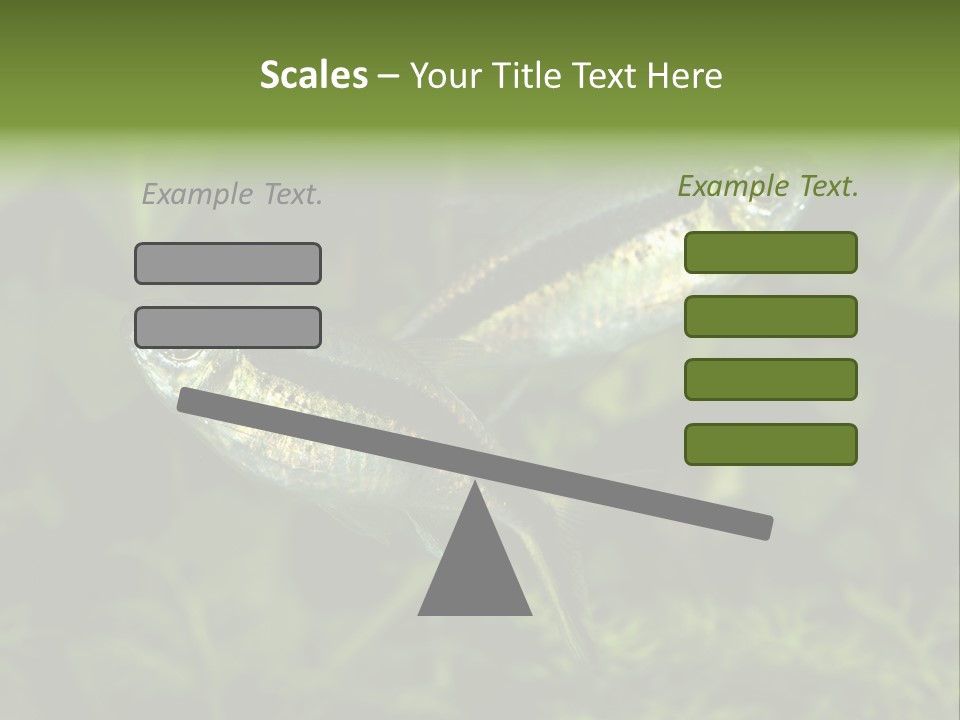 Aquarium Fish PowerPoint Template