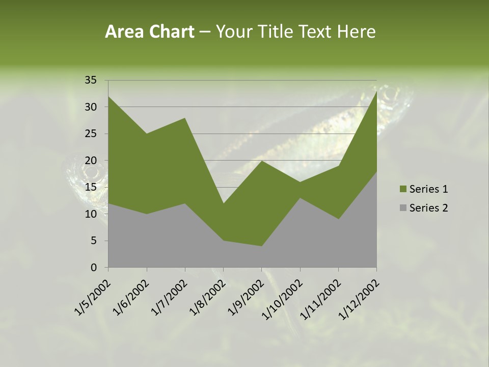 Aquarium Fish PowerPoint Template