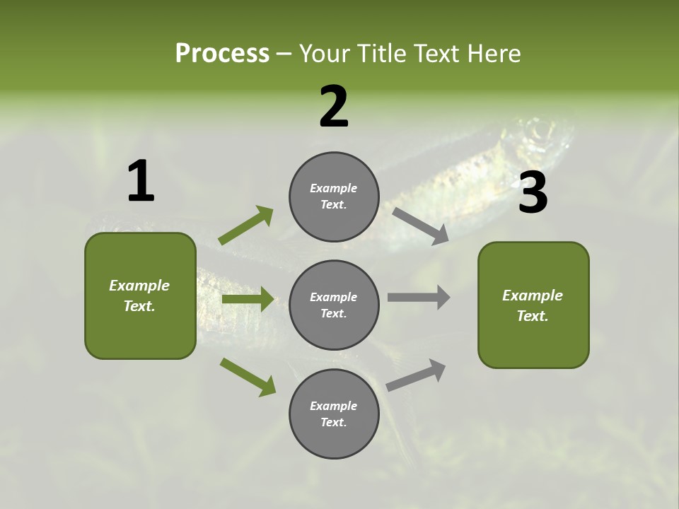 Aquarium Fish PowerPoint Template