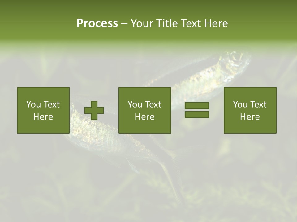 Aquarium Fish PowerPoint Template