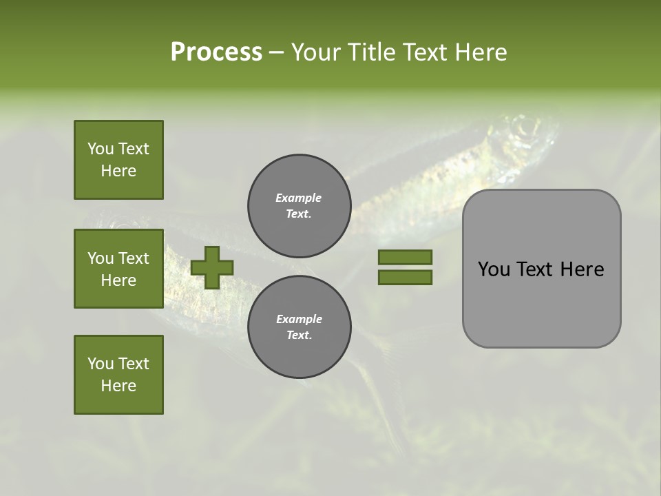 Aquarium Fish PowerPoint Template