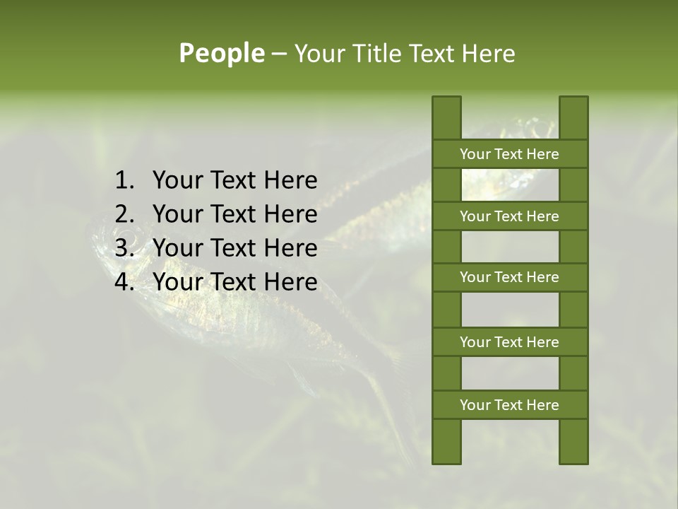 Aquarium Fish PowerPoint Template