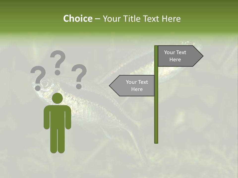 Aquarium Fish PowerPoint Template