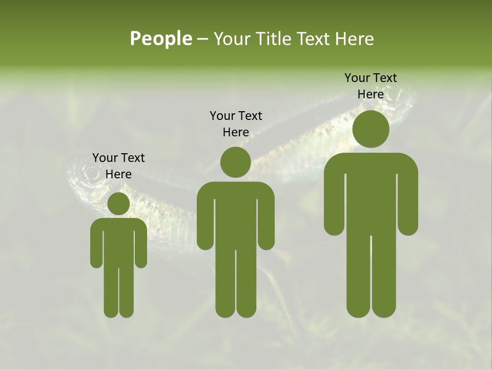 Aquarium Fish PowerPoint Template