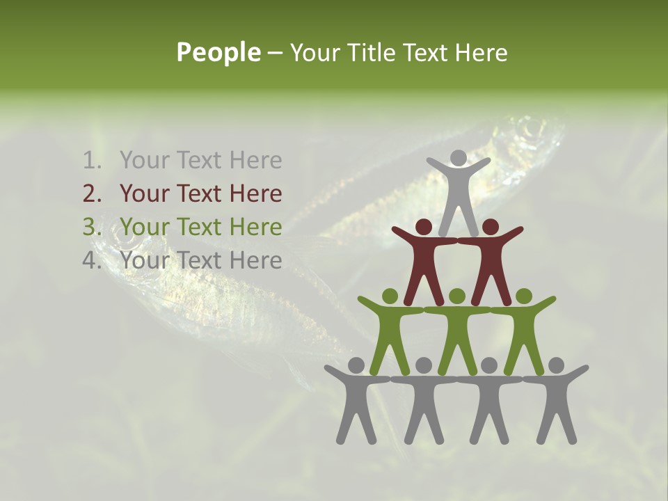 Aquarium Fish PowerPoint Template