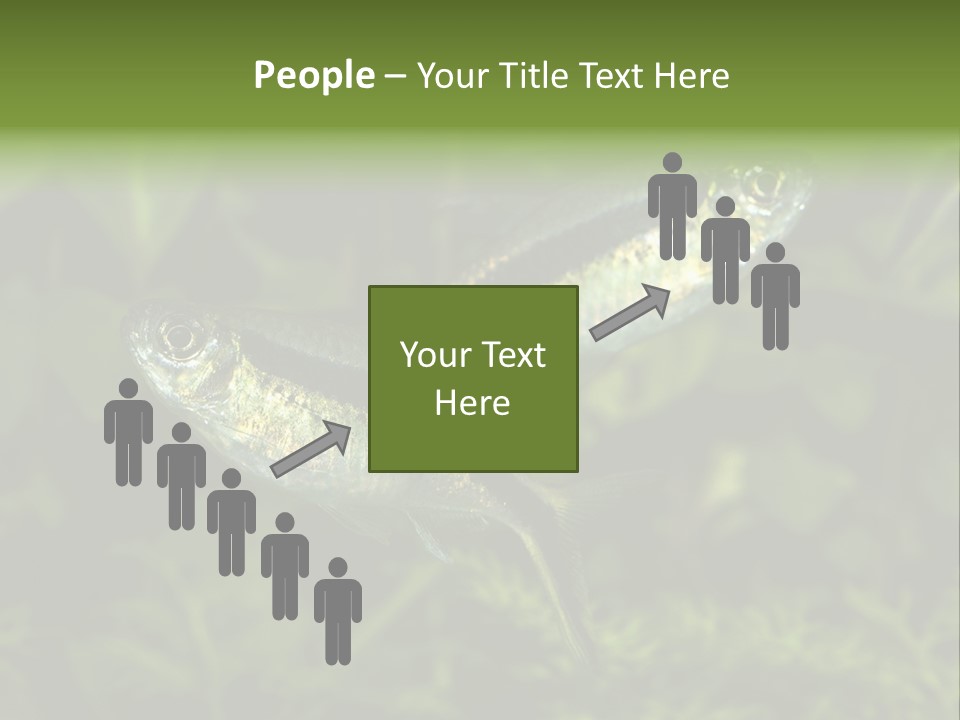 Aquarium Fish PowerPoint Template