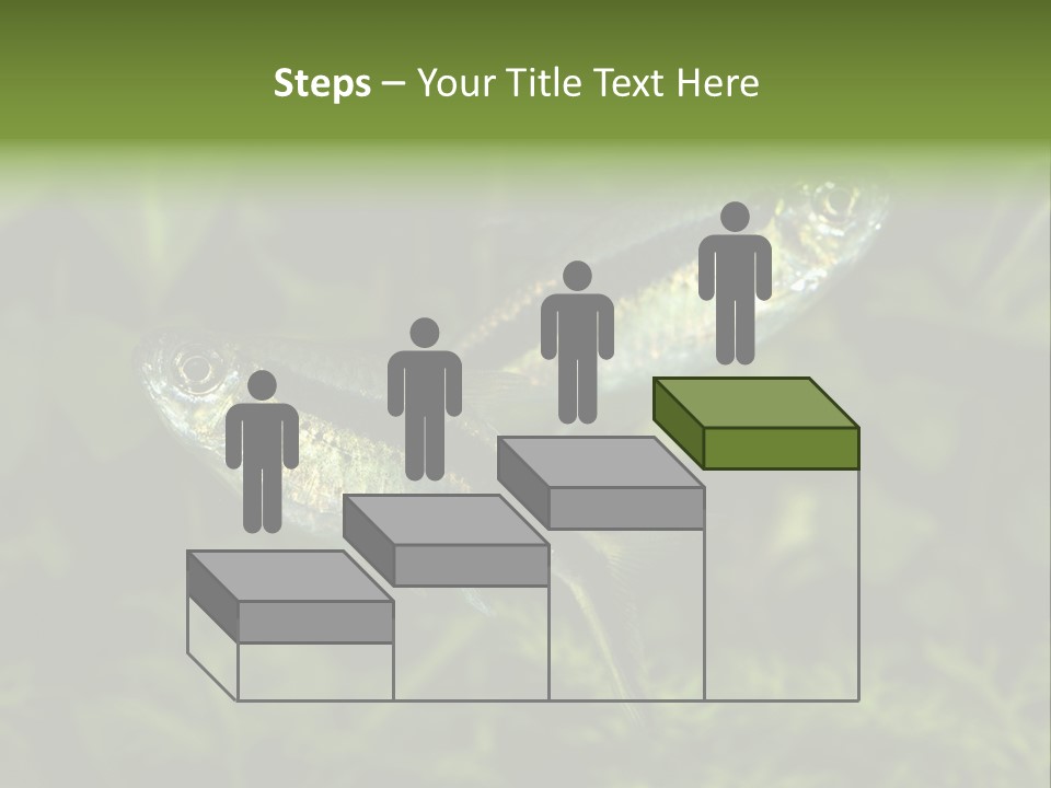 Aquarium Fish PowerPoint Template