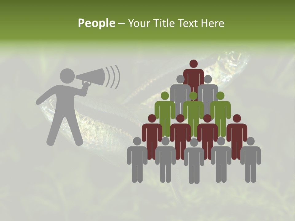 Aquarium Fish PowerPoint Template