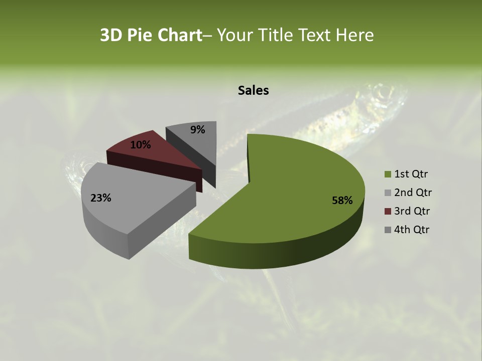 Aquarium Fish PowerPoint Template