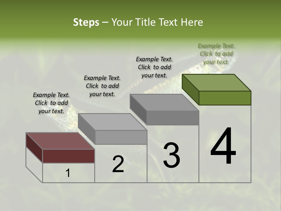 Aquarium Fish PowerPoint Template