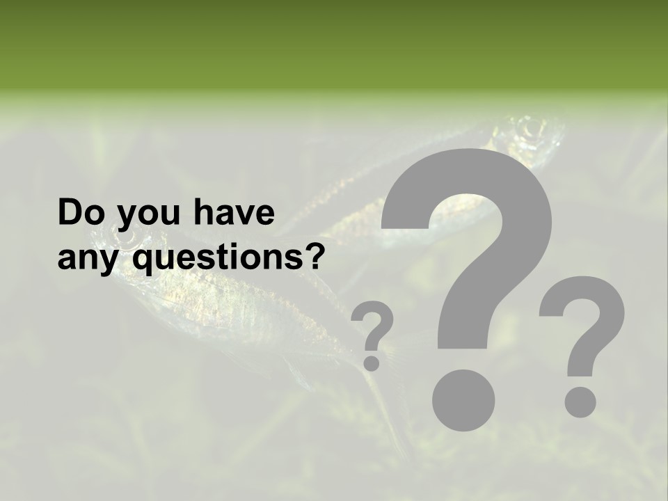 Aquarium Fish PowerPoint Template