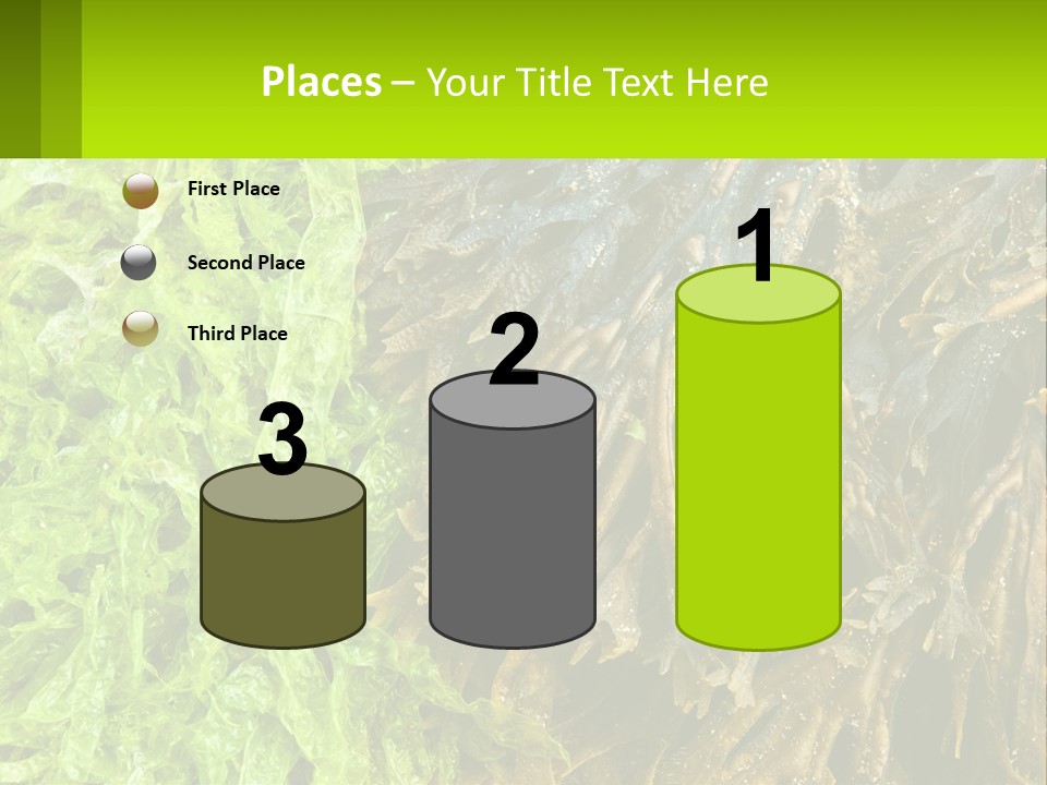 Seaweed PowerPoint Template