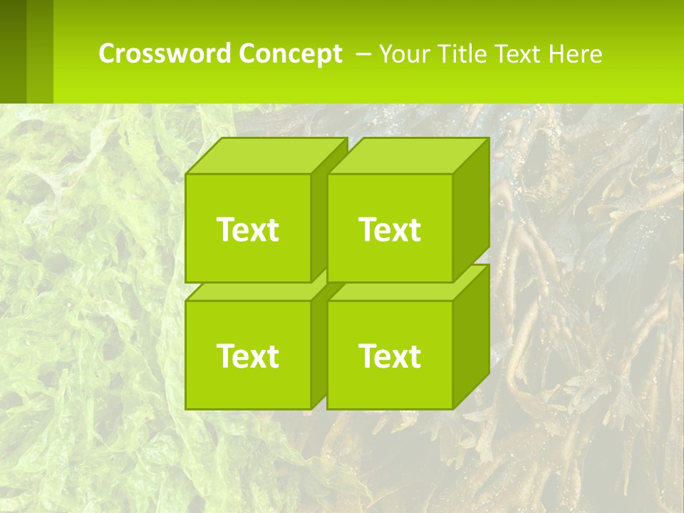 Seaweed PowerPoint Template