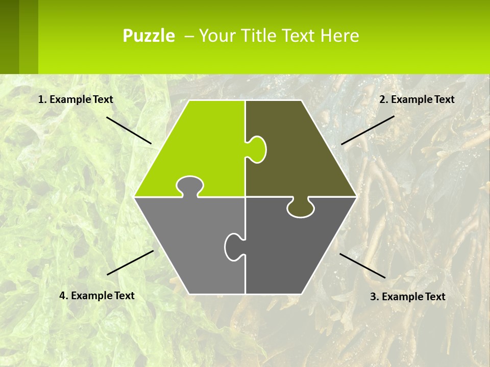 Seaweed PowerPoint Template