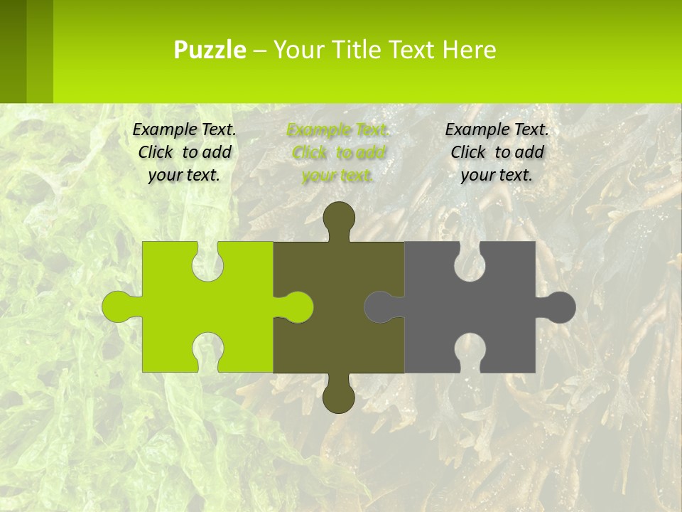 Seaweed PowerPoint Template