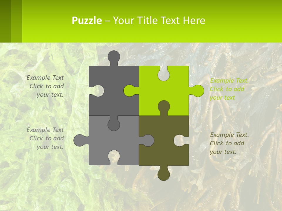 Seaweed PowerPoint Template
