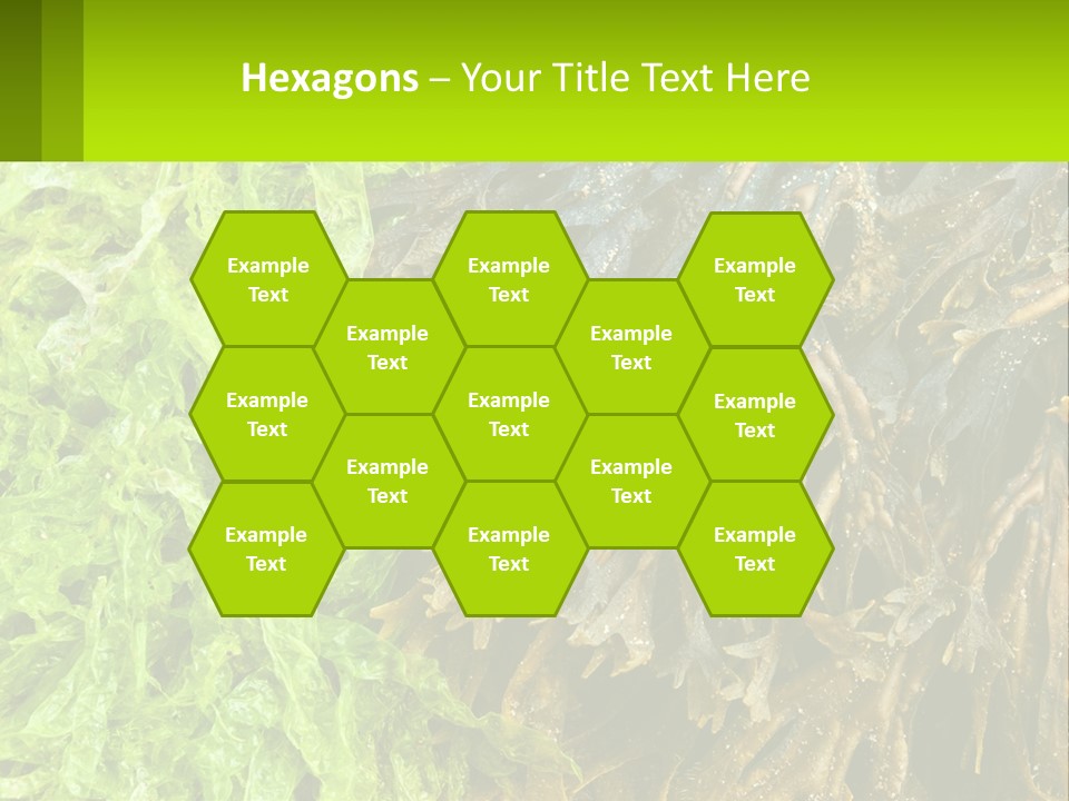 Seaweed PowerPoint Template