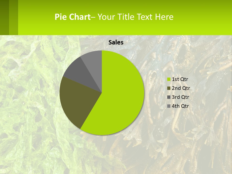 Seaweed PowerPoint Template