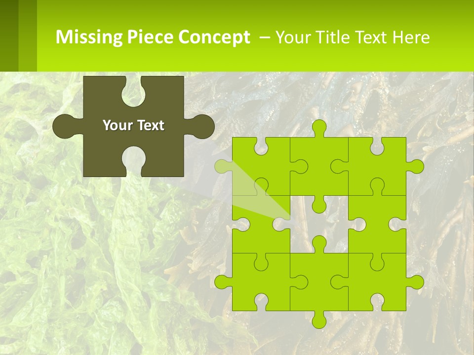 Seaweed PowerPoint Template