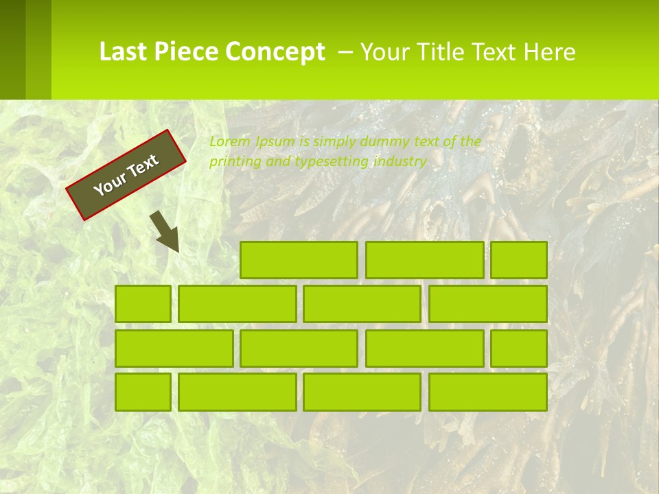 Seaweed PowerPoint Template