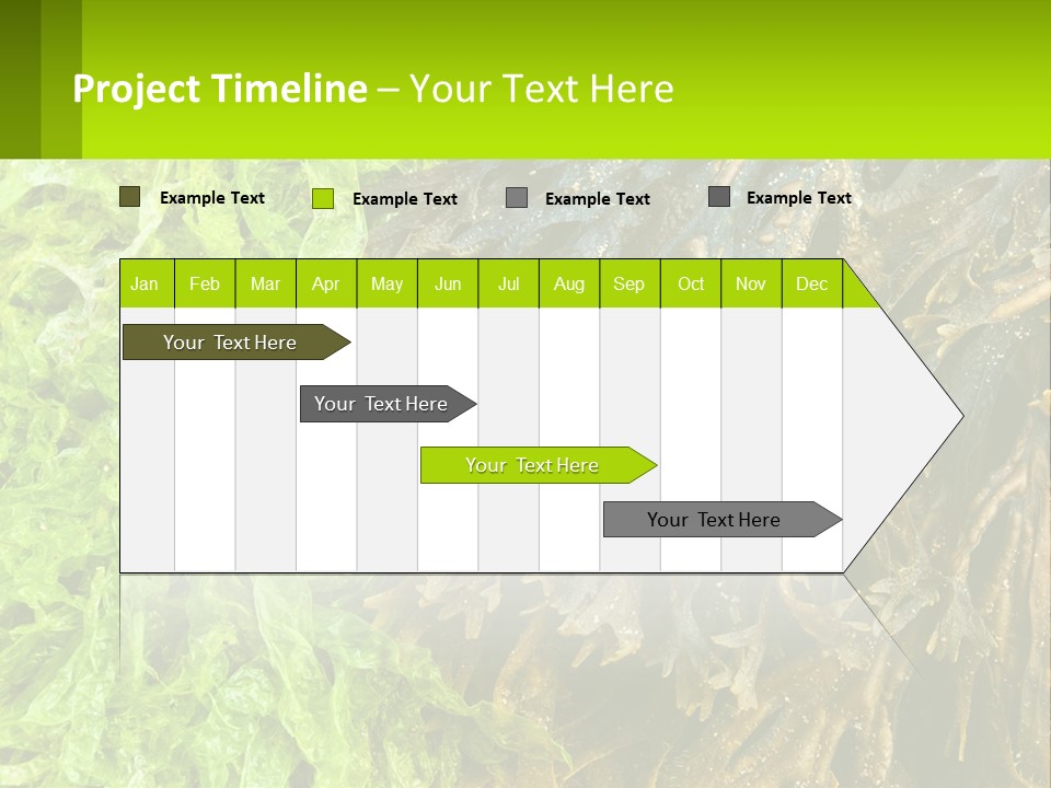 Seaweed PowerPoint Template