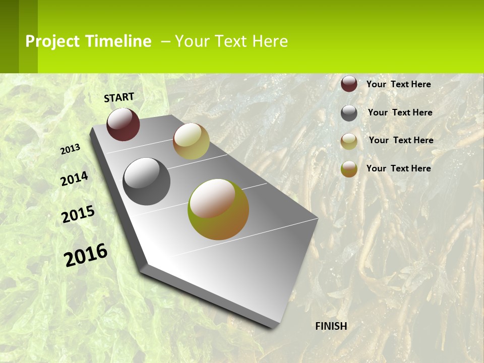 Seaweed PowerPoint Template