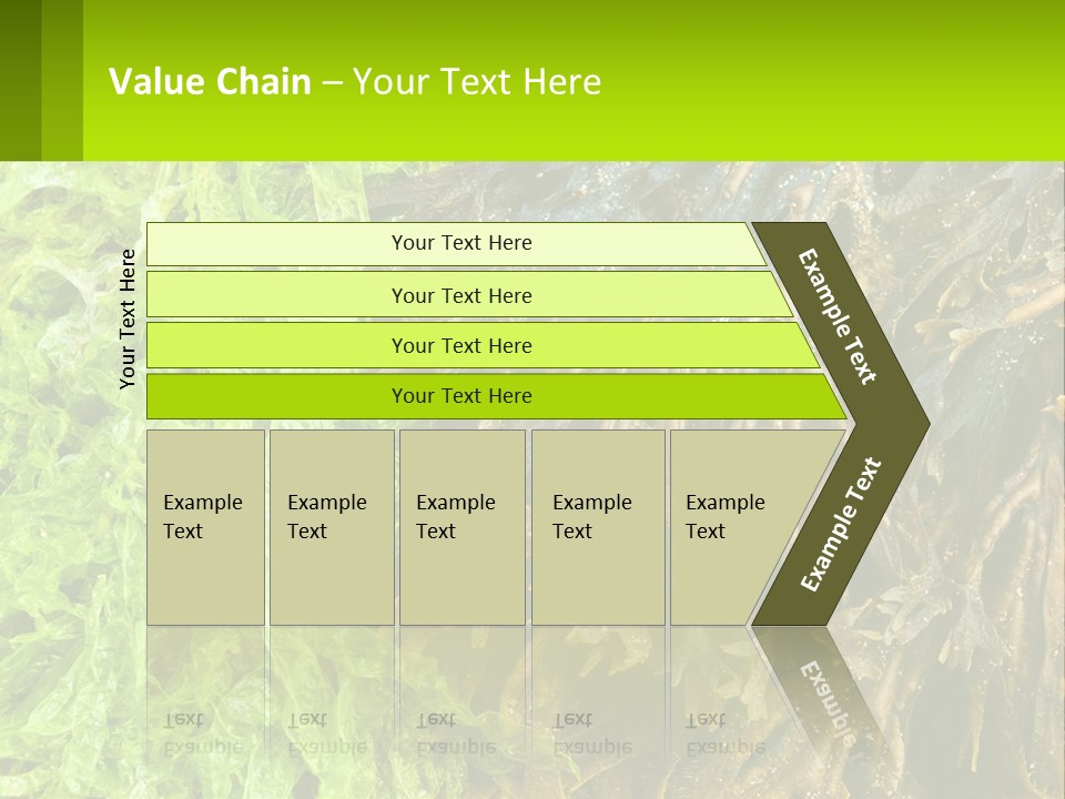 Seaweed PowerPoint Template