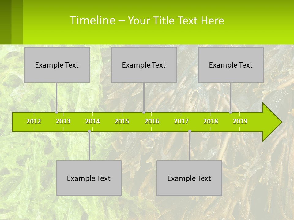 Seaweed PowerPoint Template