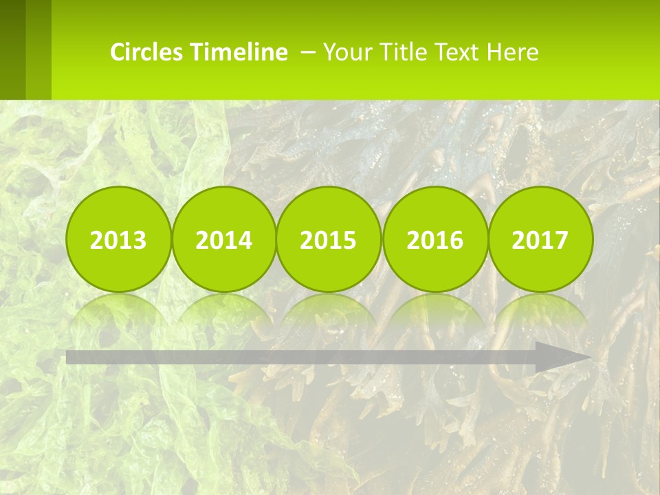 Seaweed PowerPoint Template