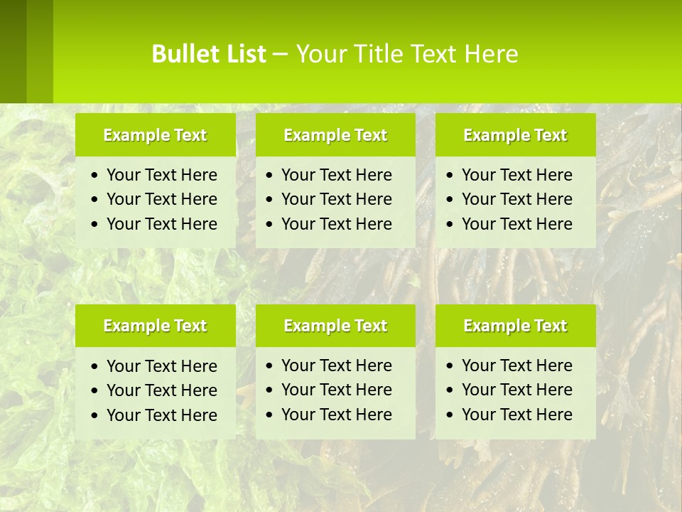 Seaweed PowerPoint Template