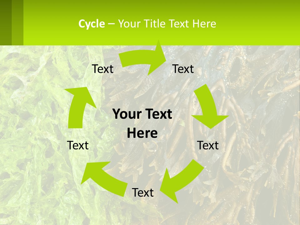 Seaweed PowerPoint Template