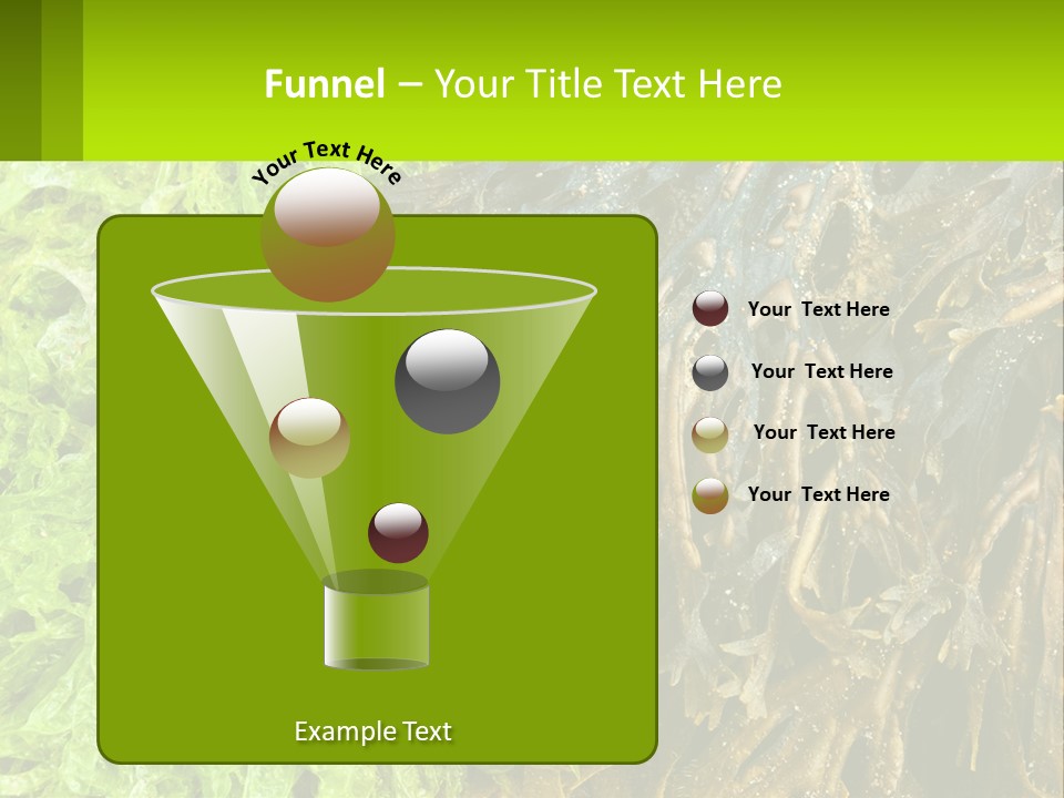 Seaweed PowerPoint Template