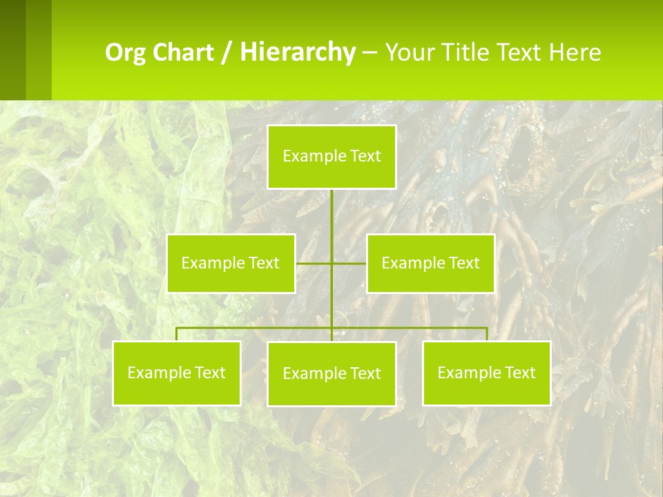 Seaweed PowerPoint Template