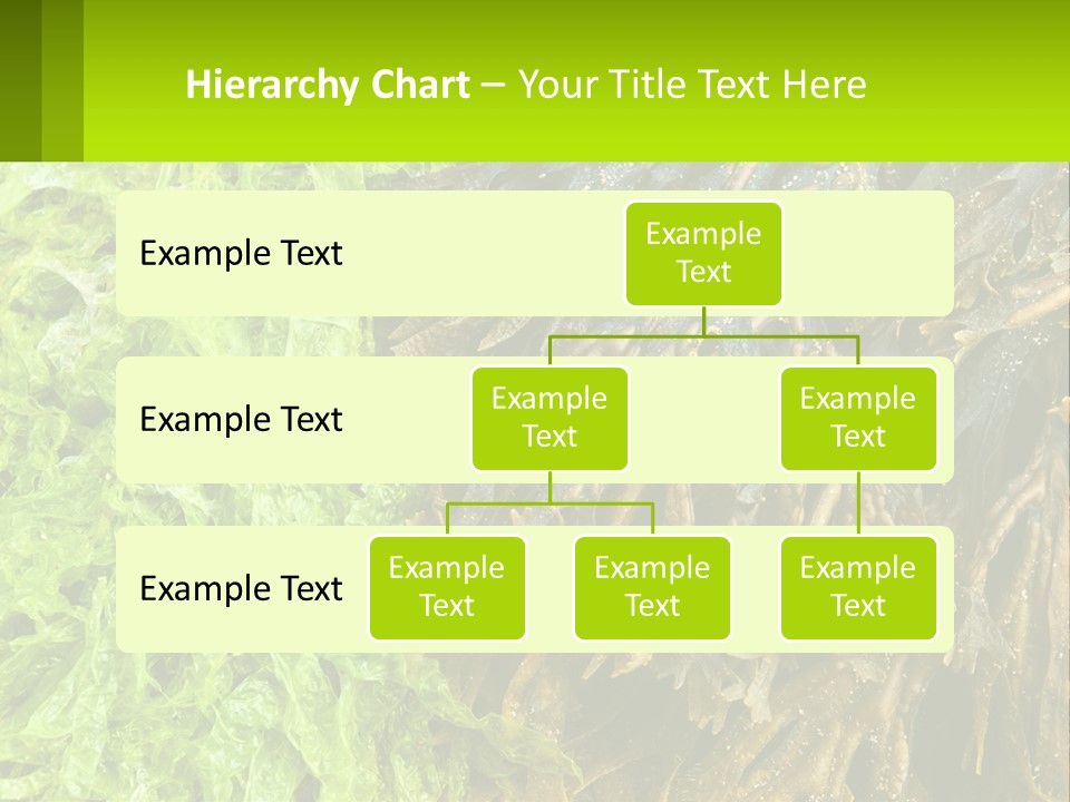 Seaweed PowerPoint Template