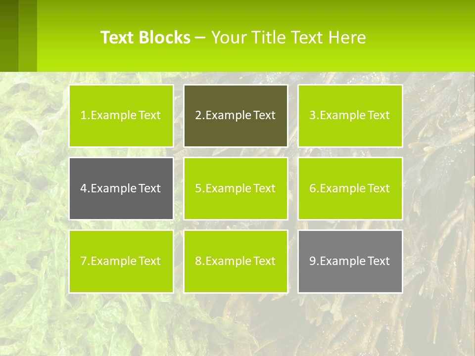 Seaweed PowerPoint Template