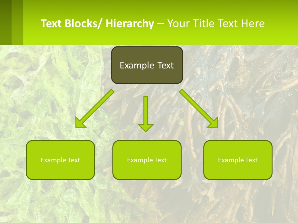 Seaweed PowerPoint Template
