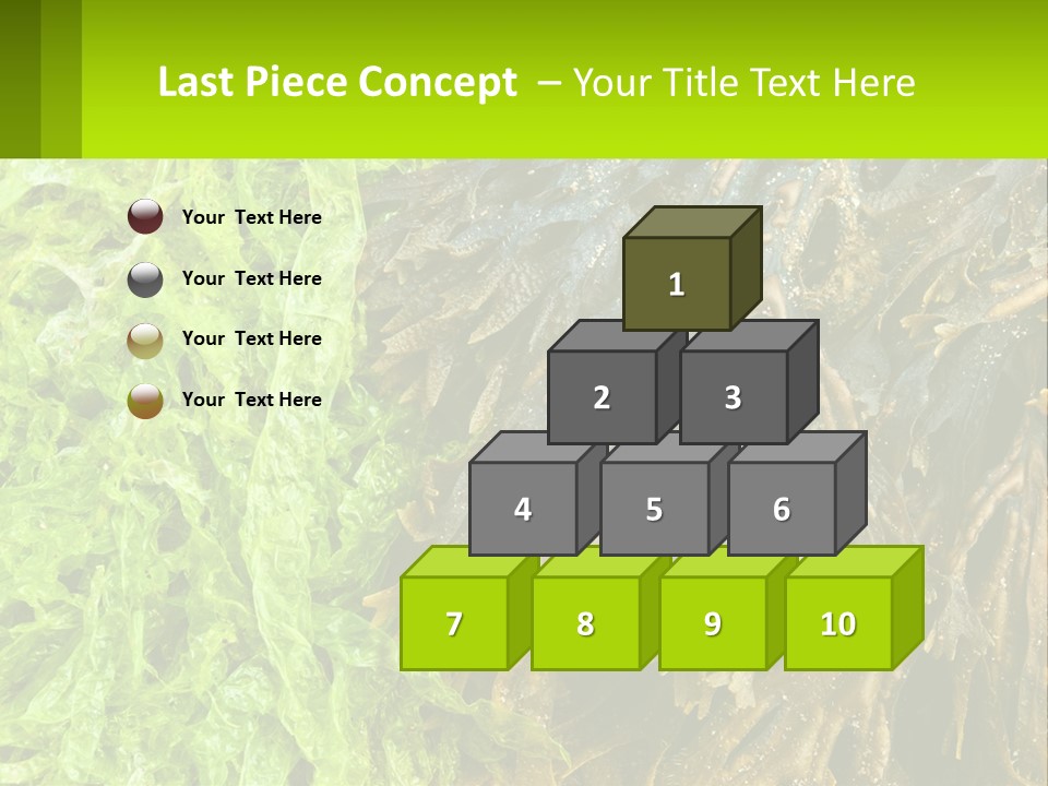 Seaweed PowerPoint Template