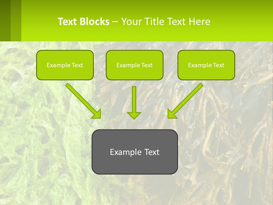 Seaweed PowerPoint Template