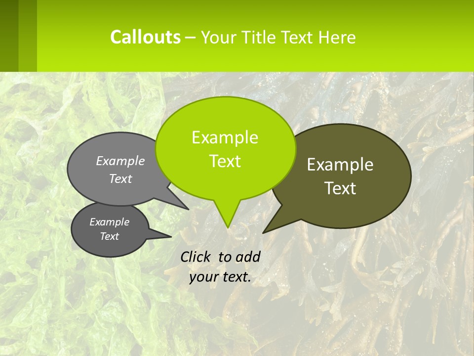 Seaweed PowerPoint Template