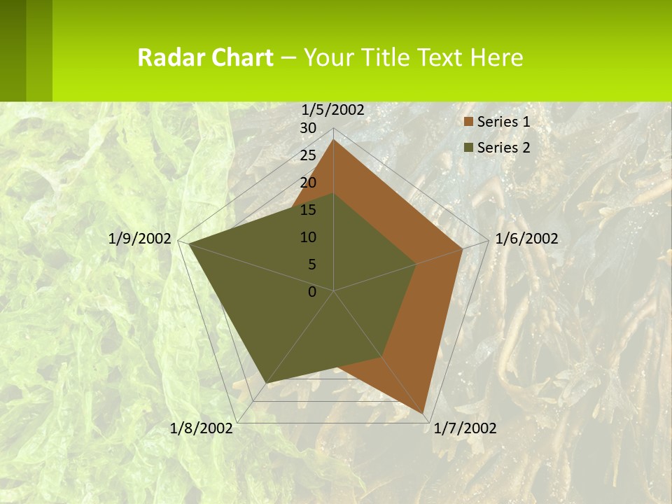 Seaweed PowerPoint Template