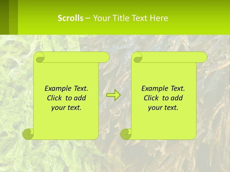Seaweed PowerPoint Template