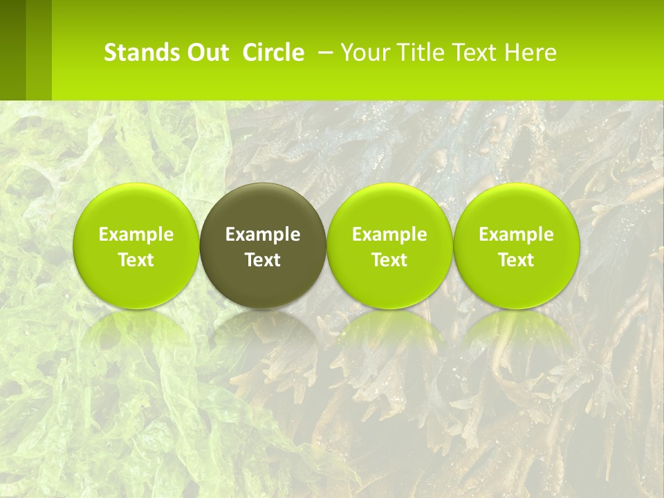 Seaweed PowerPoint Template