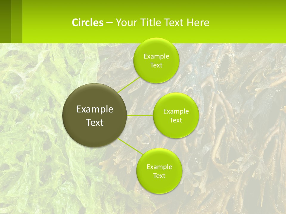 Seaweed PowerPoint Template